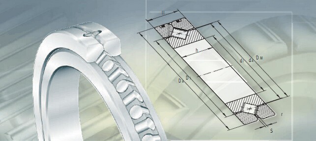 Rolamento de rolo transversal SX